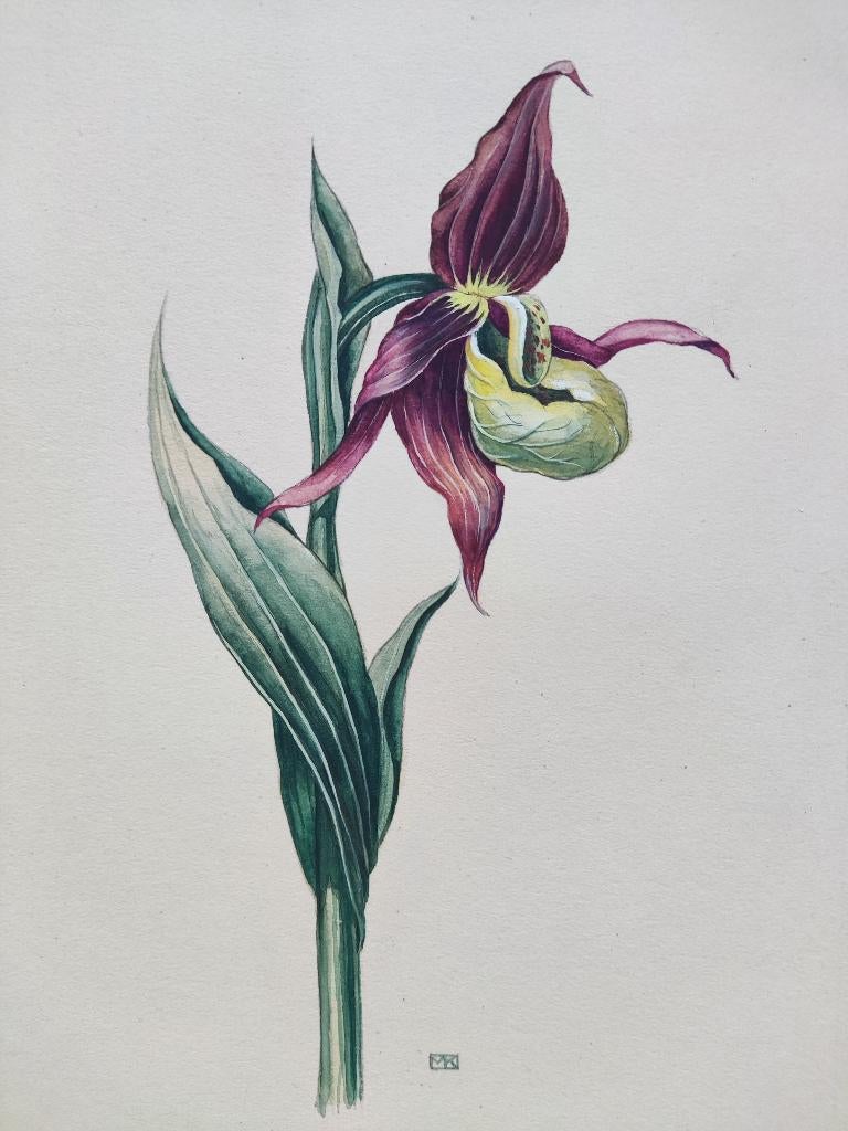 Hollandse School (XX) MK - Orchidee, Antiek en Kunst, Kunst | Schilderijen | Klassiek, Ophalen of Verzenden