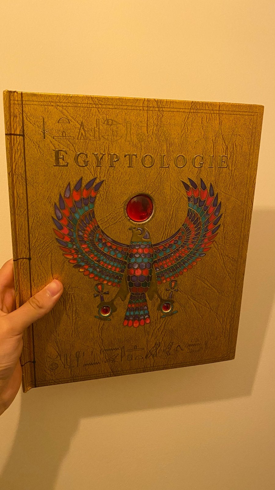 Egyptologie: Een reis door het oude Egypte, Boeken, Ophalen of Verzenden, 20e eeuw of later, Zo goed als nieuw