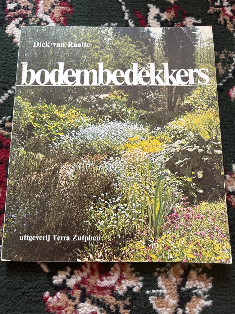 Bodembedekkers - Dick van Raalte - Tuinboek, Boeken, Ophalen of Verzenden, Gelezen, Tuinieren en Tuinplanten