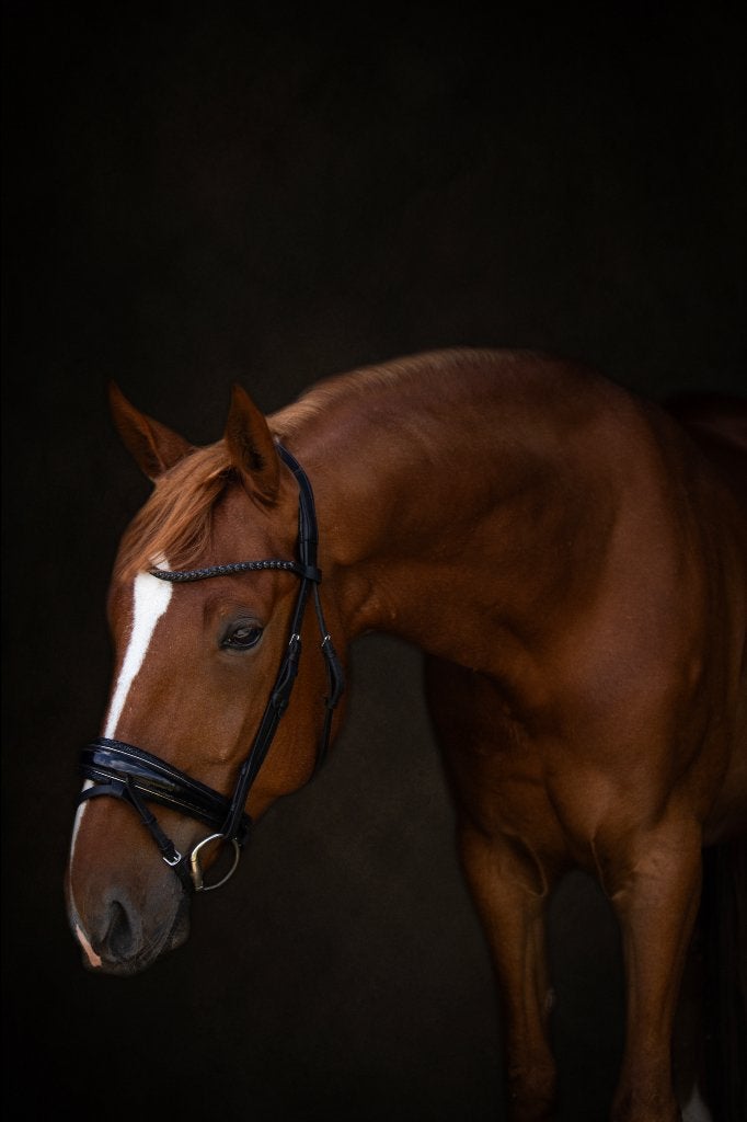 7 jarige ruin, Dieren en Toebehoren, Paarden, B, Ruin, Ontwormd, 7 tot 10 jaar