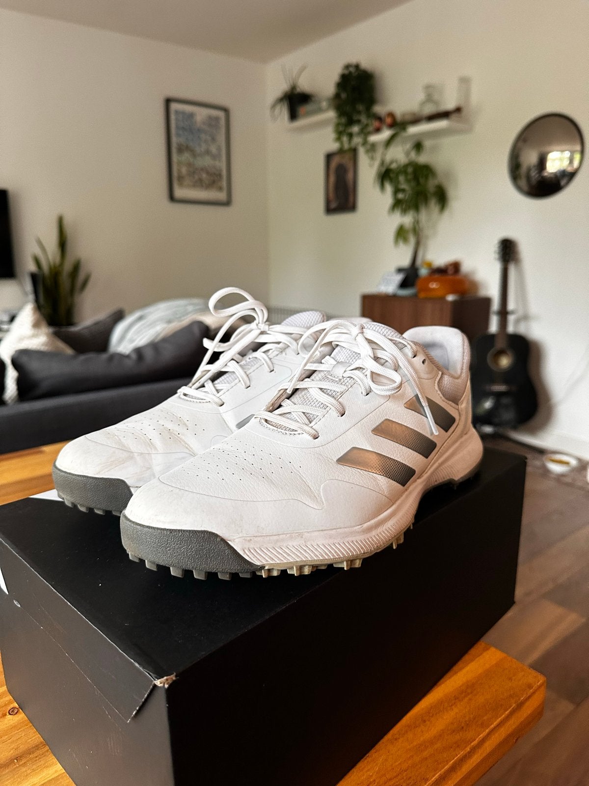 Adidas golfschoenen (spikeless, maat 44), Sport en Fitness, Ophalen of Verzenden, Zo goed als nieuw, Schoenen