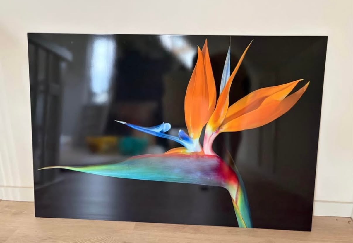Schilderij op aluminium, Ophalen