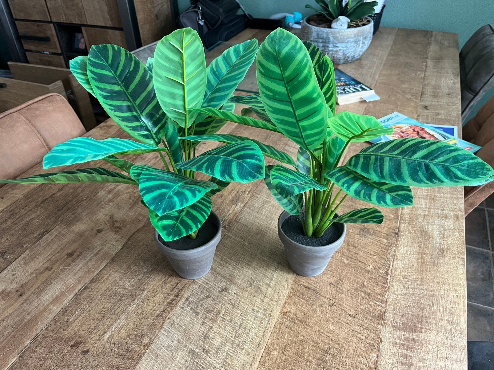 2 kunst plant Calathea, Ophalen, Halfschaduw, Minder dan 100 cm