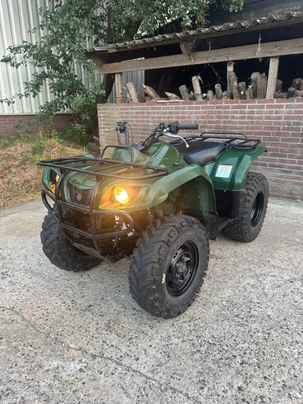 Yamaha grizzly 350 Quad, Motoren