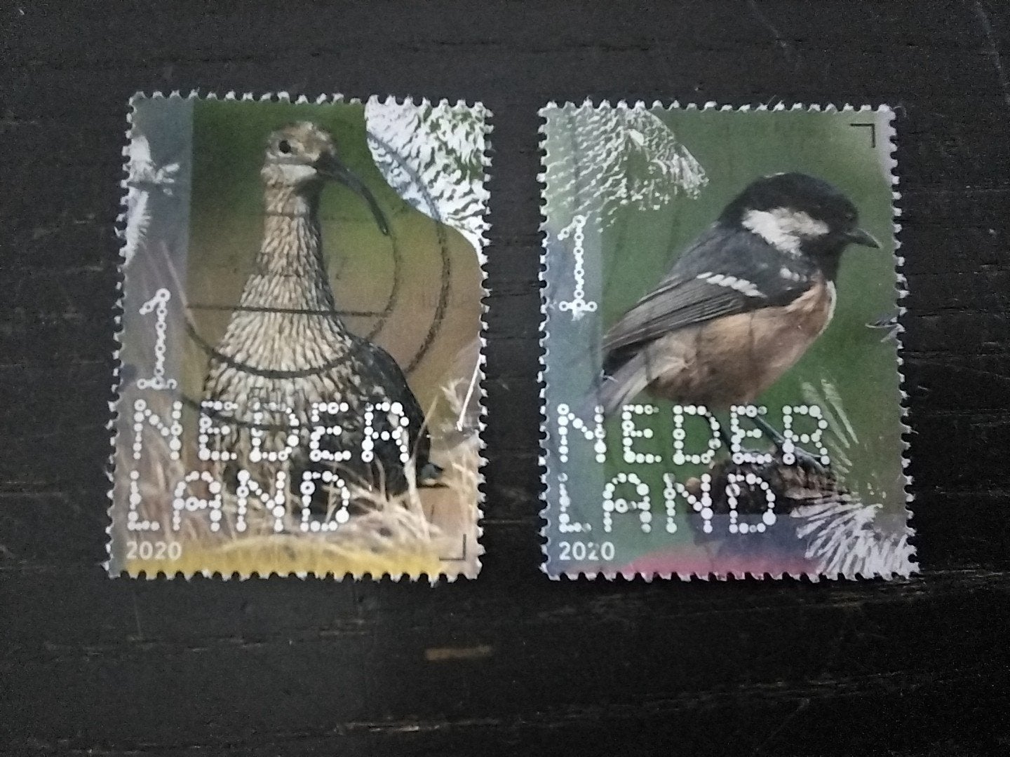 2697 Nederland persoonlijkheids zegels vogels 2020, Ophalen of Verzenden, Gestempeld, Dier of Natuur