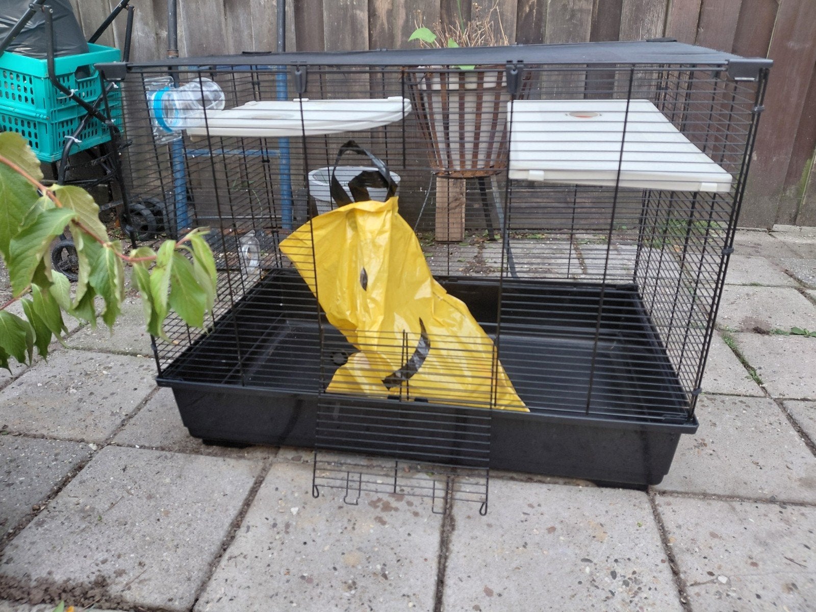 mooi hamsterparadijs, Dieren en Toebehoren, Ophalen, Kooi, 60 tot 90 cm, Nieuw