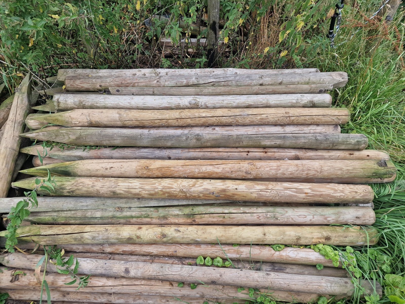 Ongebruikte geïmpregneerde palen 2 meter lang, Ophalen of Verzenden, Nieuw, 180 tot 250 cm, Palen