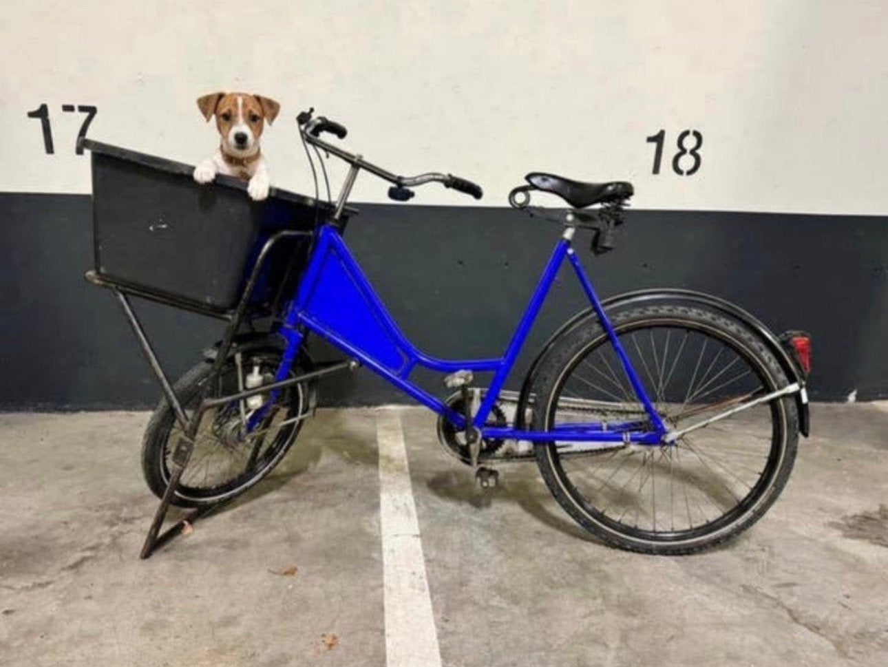 Supersterke hondenfiets bakfiets transportfiets cargobike, Ophalen