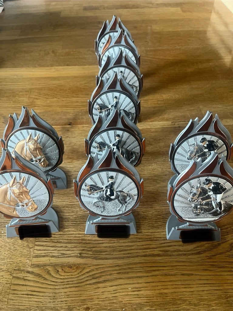 Prijzen, Ophalen, Nieuw, Overige disciplines