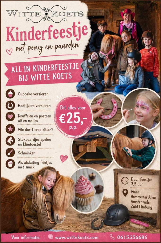 Kinderfeestje met pony's en paarden, Eén persoon, Ticket of Toegangskaart