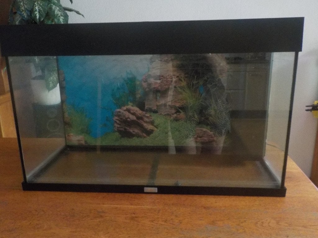 aqaurium juwel, Ophalen of Verzenden, Gebruikt, Leeg aquarium, Juwel