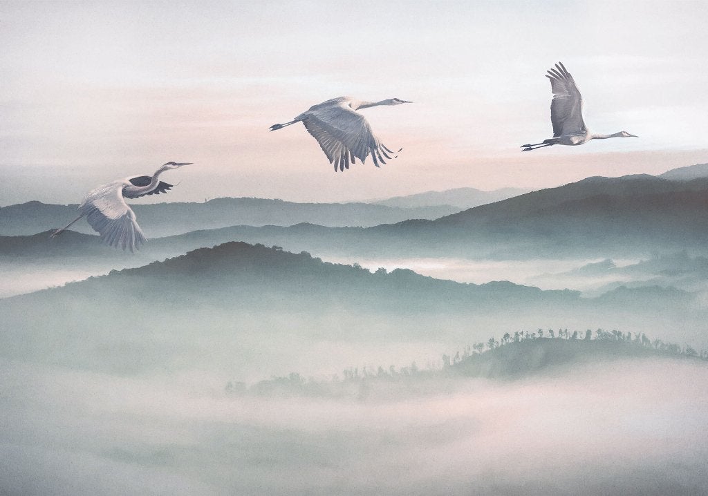 Kraanvogel behang Mystic Cranes, 400x280 cm, Muurdeco4kids, Verzenden, Fotobehang