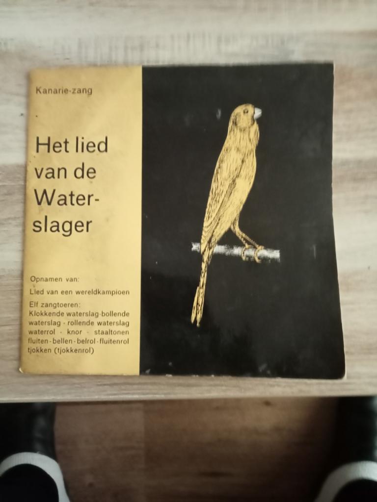 De waterslager, Dieren en Toebehoren, Vogels | Kanaries