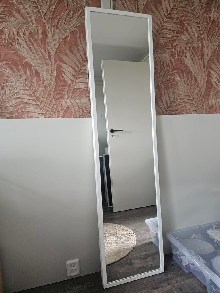 Spiegel 40x160cm, Ophalen, Minder dan 50 cm, Gebruikt, 150 tot 200 cm