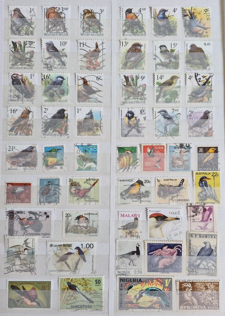 POSTZEGELS VOGELS WERELD GESTEMPELD, Verzenden, Gestempeld, Dier of Natuur