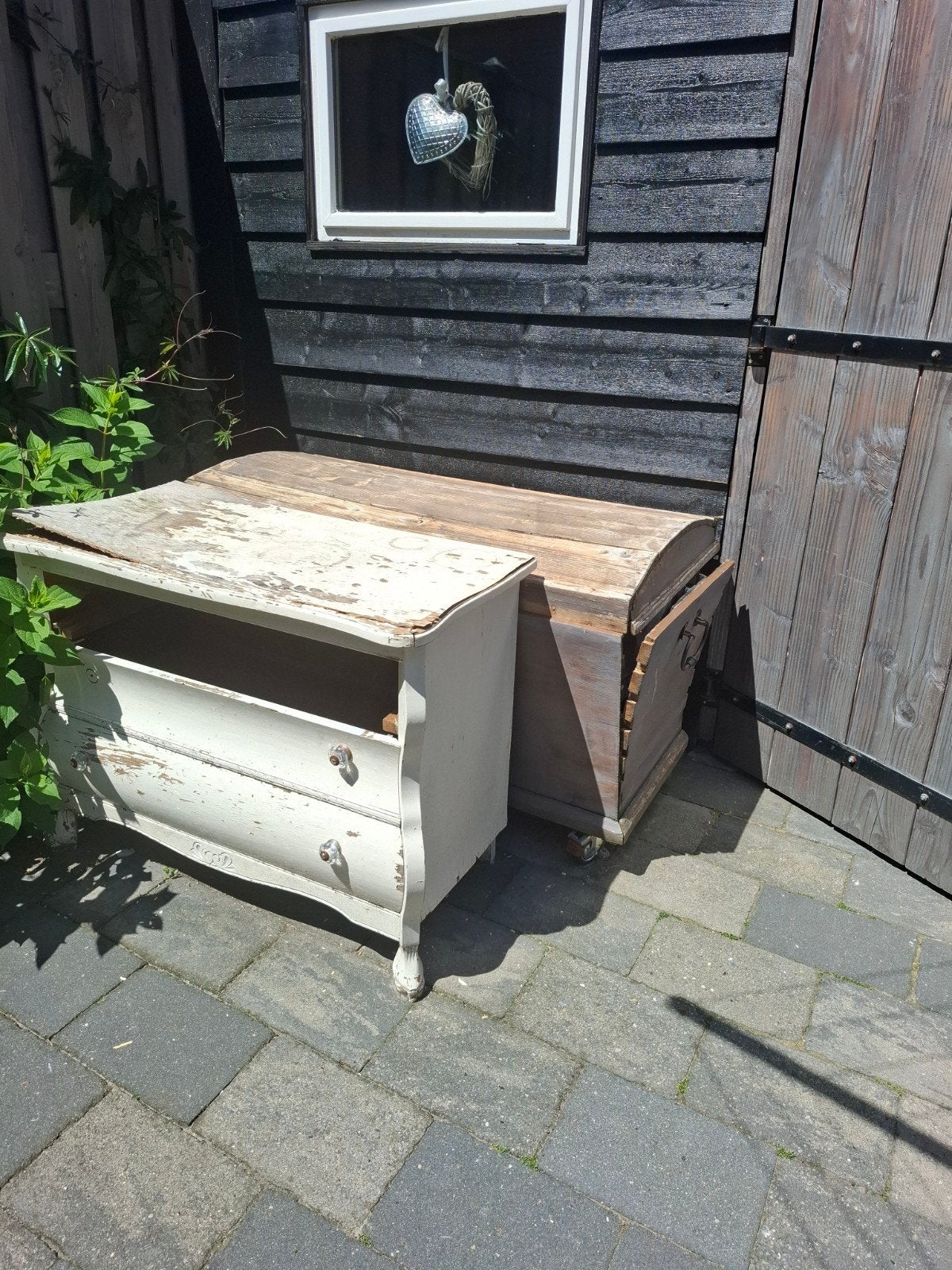 Stookhout GRATIS, Ophalen, Minder dan 50 cm, Minder dan 50 cm