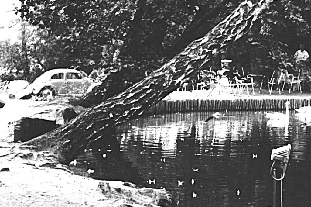 949056	Beek	Gld 1971 Gem Berg Bergmeertje t Peeske, Ophalen of Verzenden, 1960 tot 1980, Ongelopen, Gelderland
