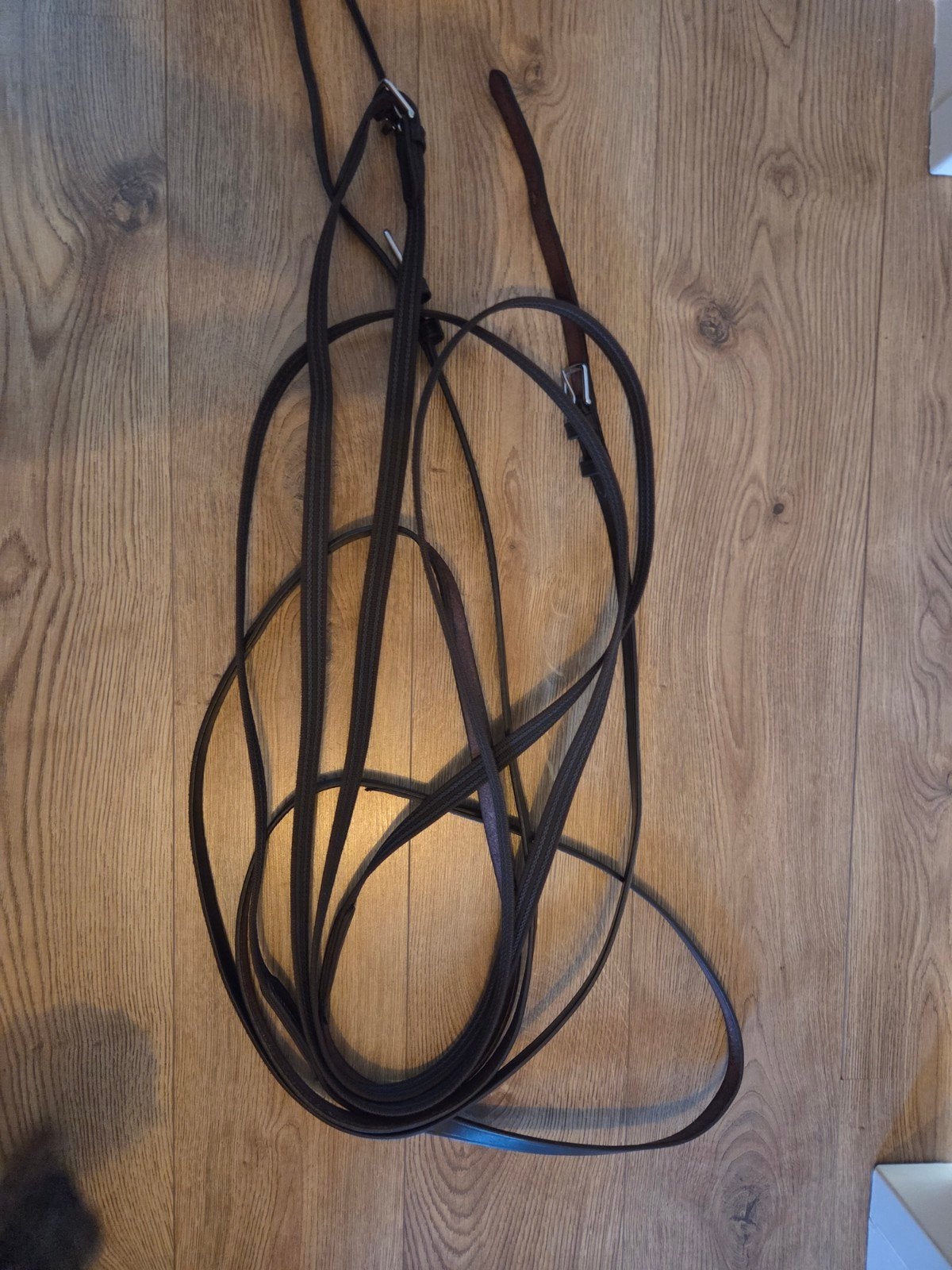 Enkelspan leidsel maat paard, Ideal Equestrian, Overige disciplines, Mentuig, Ophalen of Verzenden
