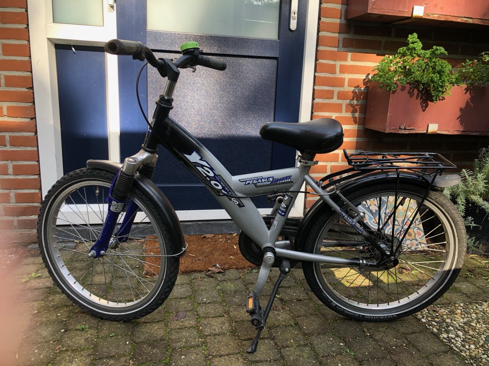 Pegasus kinderfiets 20 inch met terugtraprem en 1 handrem, Ophalen, Gebruikt, 20 inch of meer, Overige merken