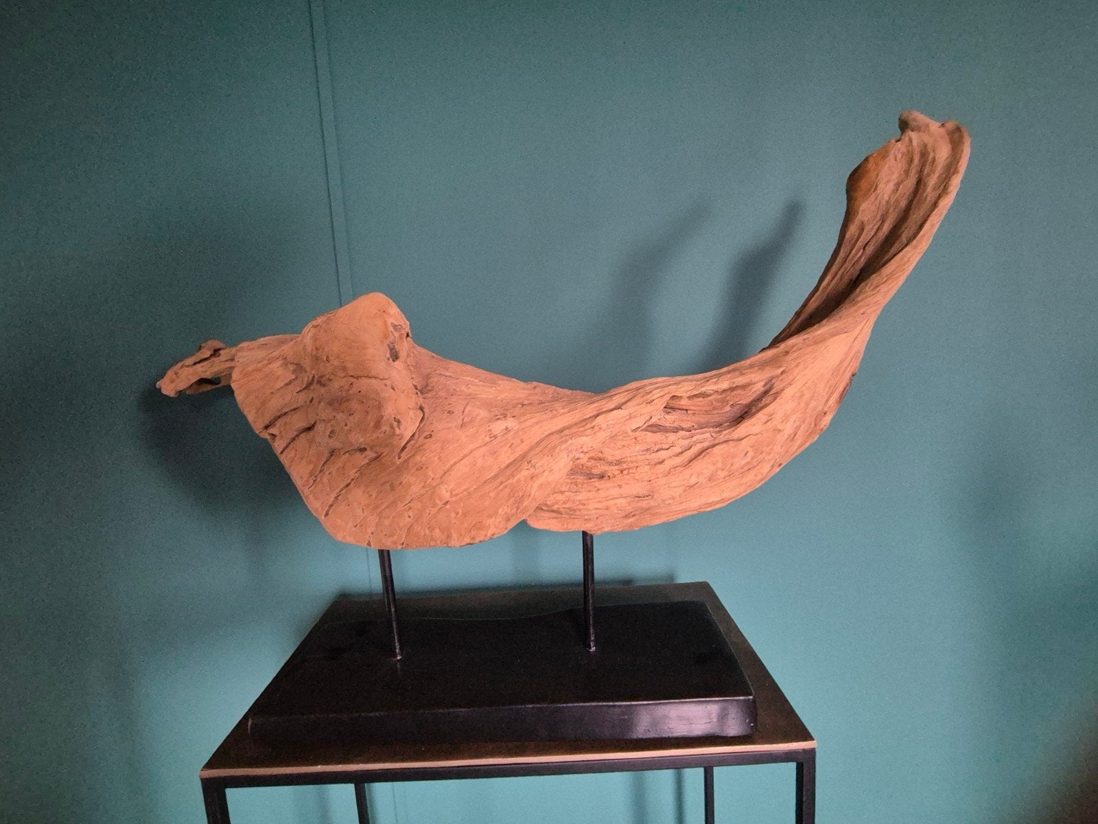 Uniek Teak Stronk op Sokkel - 100 cm breed, Ophalen, Hout, Gebruikt, Landelijk