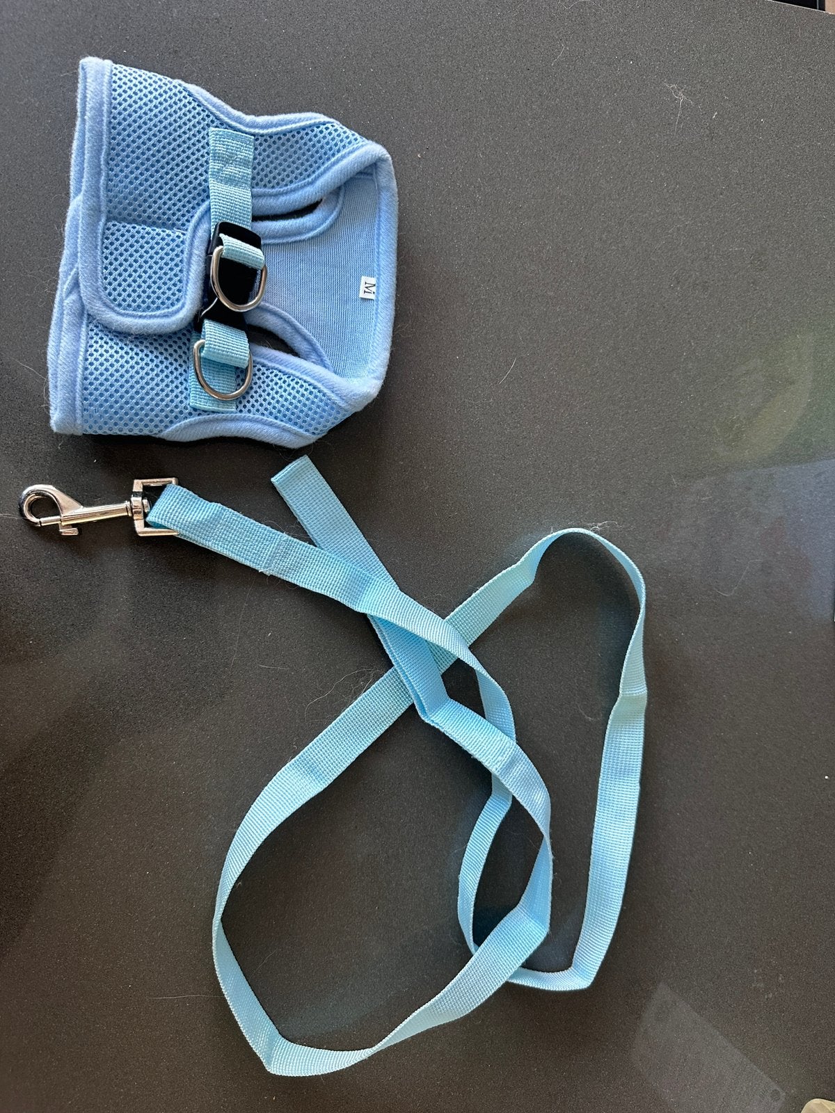 Tuigje voor hond/kat, Ophalen, Zo goed als nieuw
