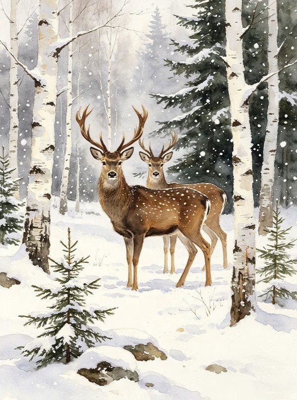 50x40cm Diamond Painting herten sneeuw (rond) nr 120, Nieuw, Ophalen of Verzenden, Overige materialen, Overige merken
