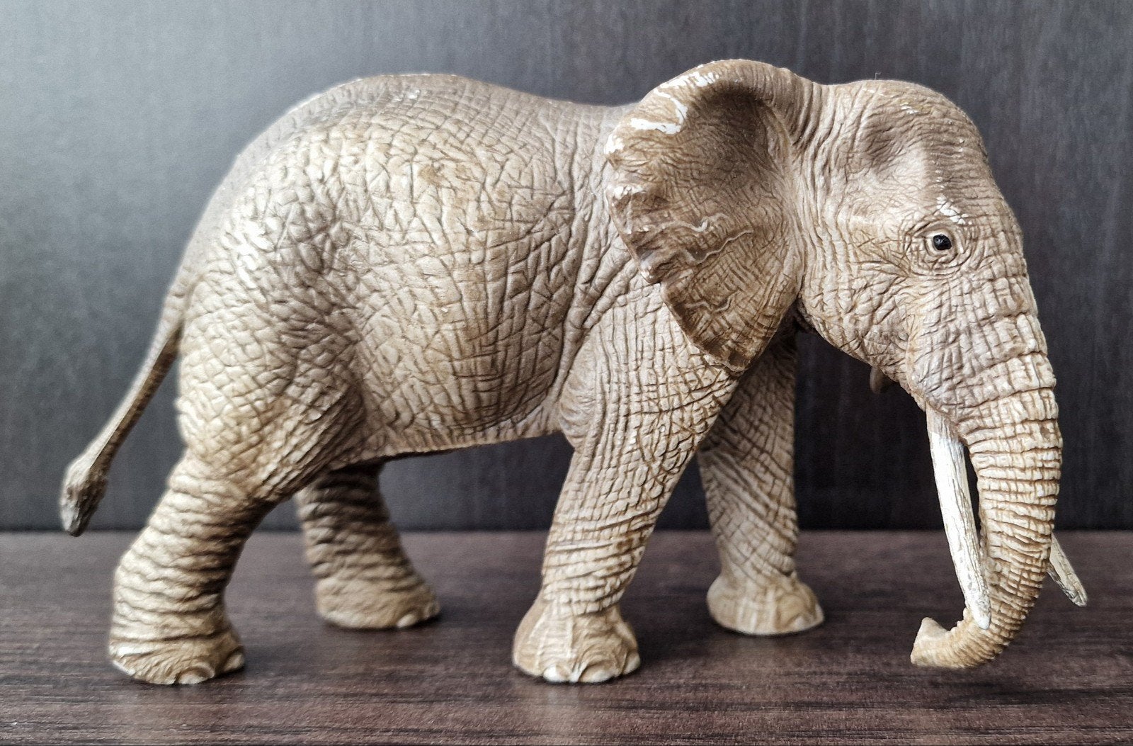 Schleich Wild Life Afrikaanse Olifant Koe - 2015, Ophalen, Gebruikt, Wild dier, Beeldje of Figuurtje