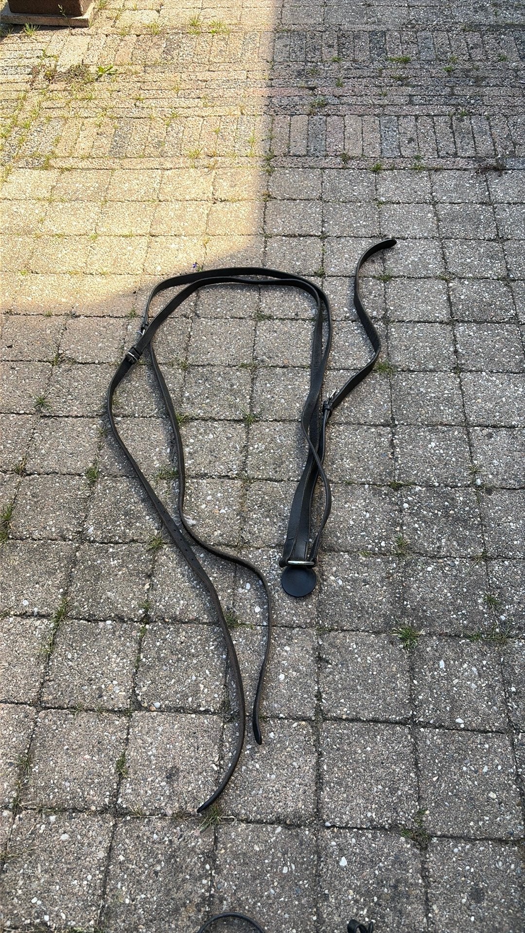 Martingaal paard ., Dieren en Toebehoren, Ophalen of Verzenden, Gebruikt, Teugels