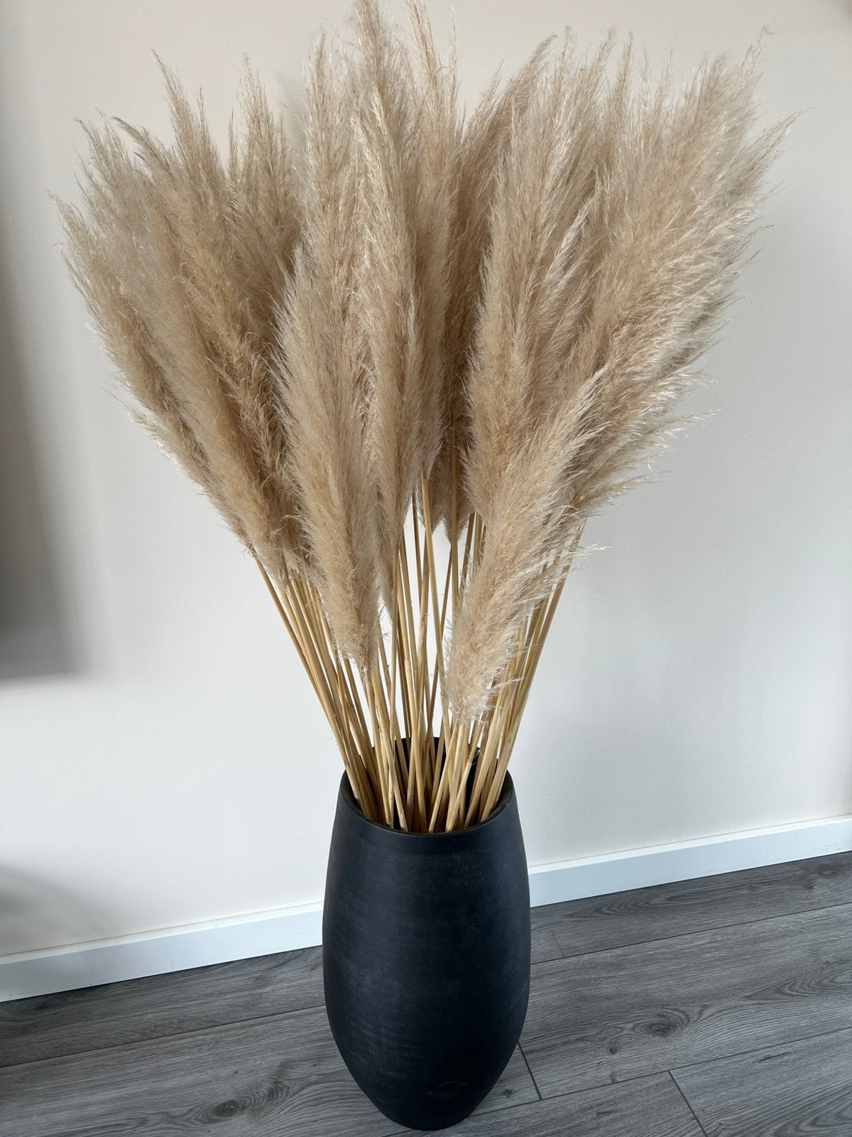 Vaas met plant, Inclusief droogbloemen, Zwart, Zo goed als nieuw, Ophalen