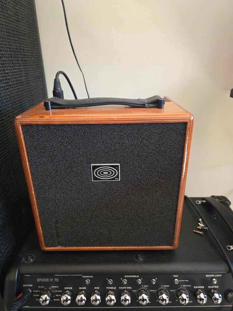 Schertler Giulia 50 Watt Akoestische Versterker, Ophalen of Verzenden, Zo goed als nieuw, Gitaar, 50 tot 100 watt