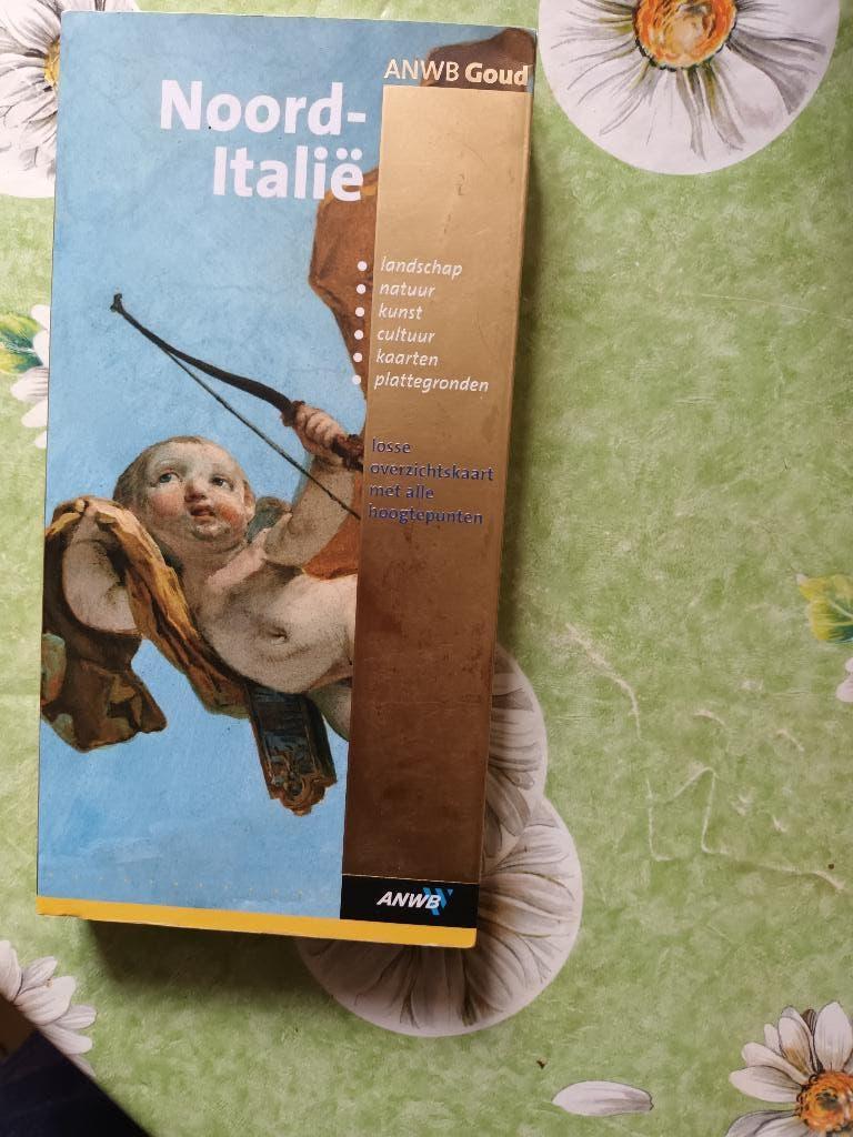 Noord Italie ANWB goud reisgids Alpen Milaan Venetie kaart, Boeken, Reisgidsen, ANWB, Europa, Ophalen of Verzenden, Zo goed als nieuw