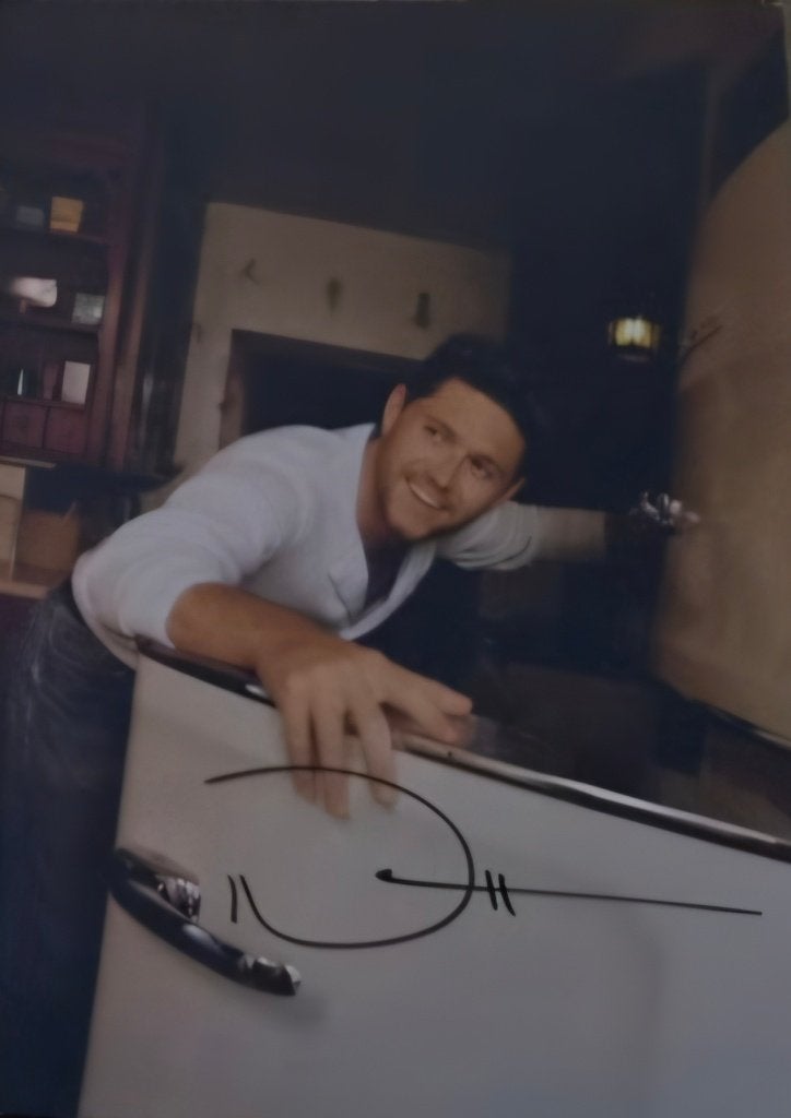 Niall Horan fotokaart met handtekening, Ophalen of Verzenden, Zo goed als nieuw, Overige formaten