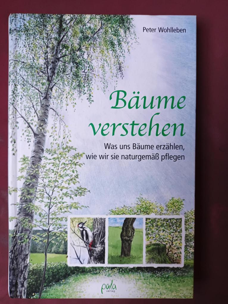 Bäume verstehen, Peter Wohlleben, Boeken, Ophalen of Verzenden, Nieuw, Bloemen, Planten en Bomen, Peter Wohlleben