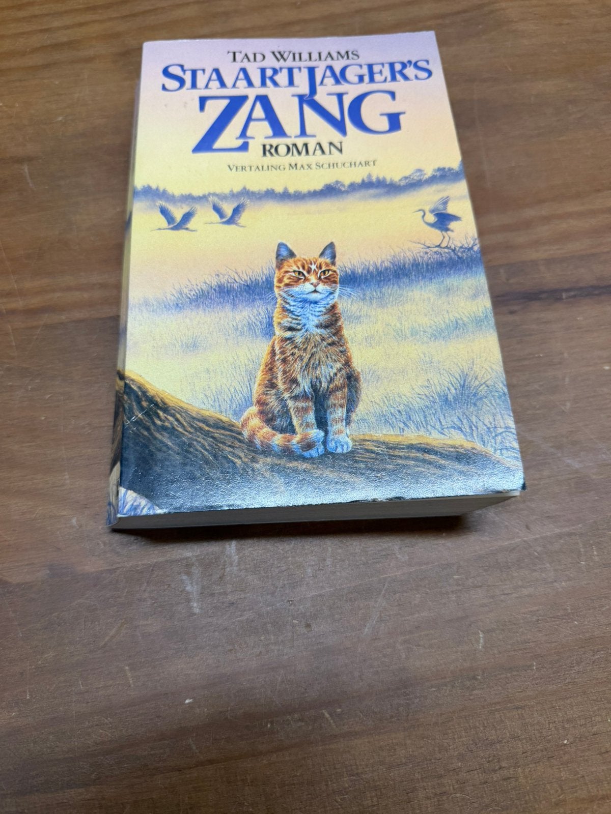 Straaljagers zang, Ophalen of Verzenden, Zo goed als nieuw, Amerika