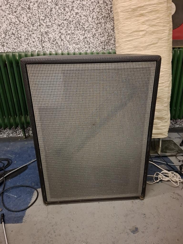 Fender Vibratone Leslie, Muziek en Instrumenten, Ophalen, Gebruikt, Minder dan 50 watt
