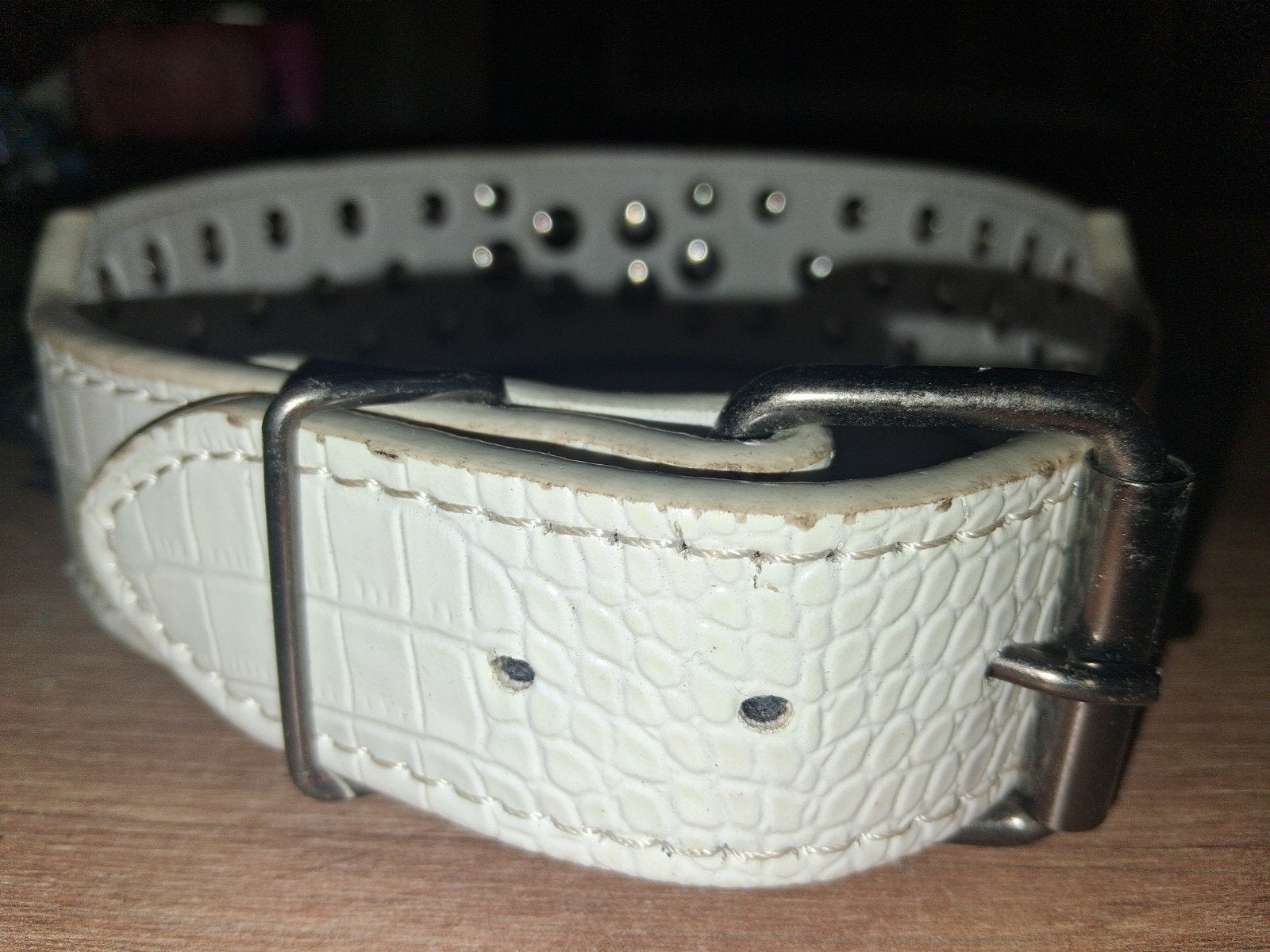 hondenhalsband  wit, Ophalen, Zo goed als nieuw, Halsband