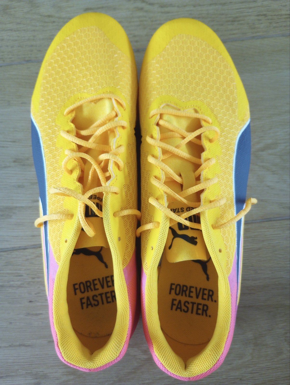 Puma Atletiekschoenen (inclusief spikes), Nieuw, Overige sporten, Spikes, Ophalen