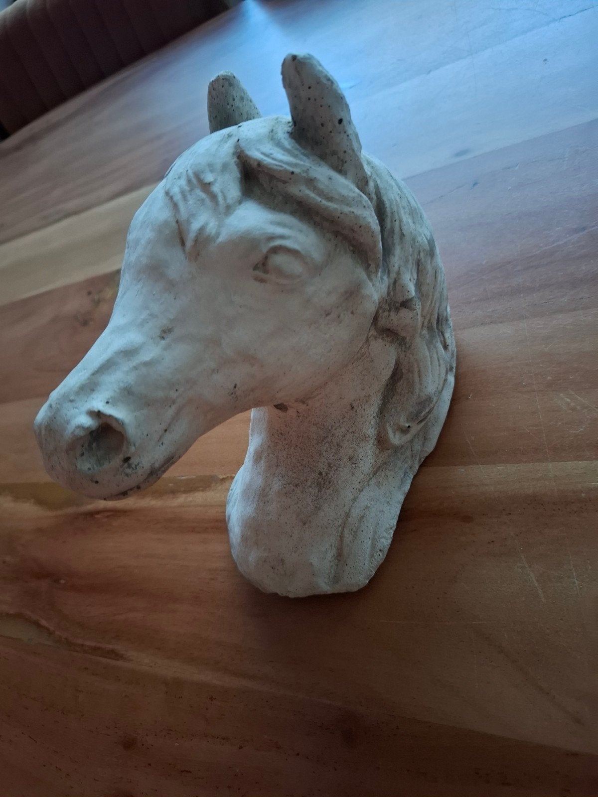 stenen paardenkop, Ophalen of Verzenden