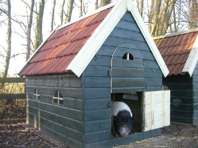 Nostalgische geiten varkens kippen hondenhok, Vrouwelijk, Geit
