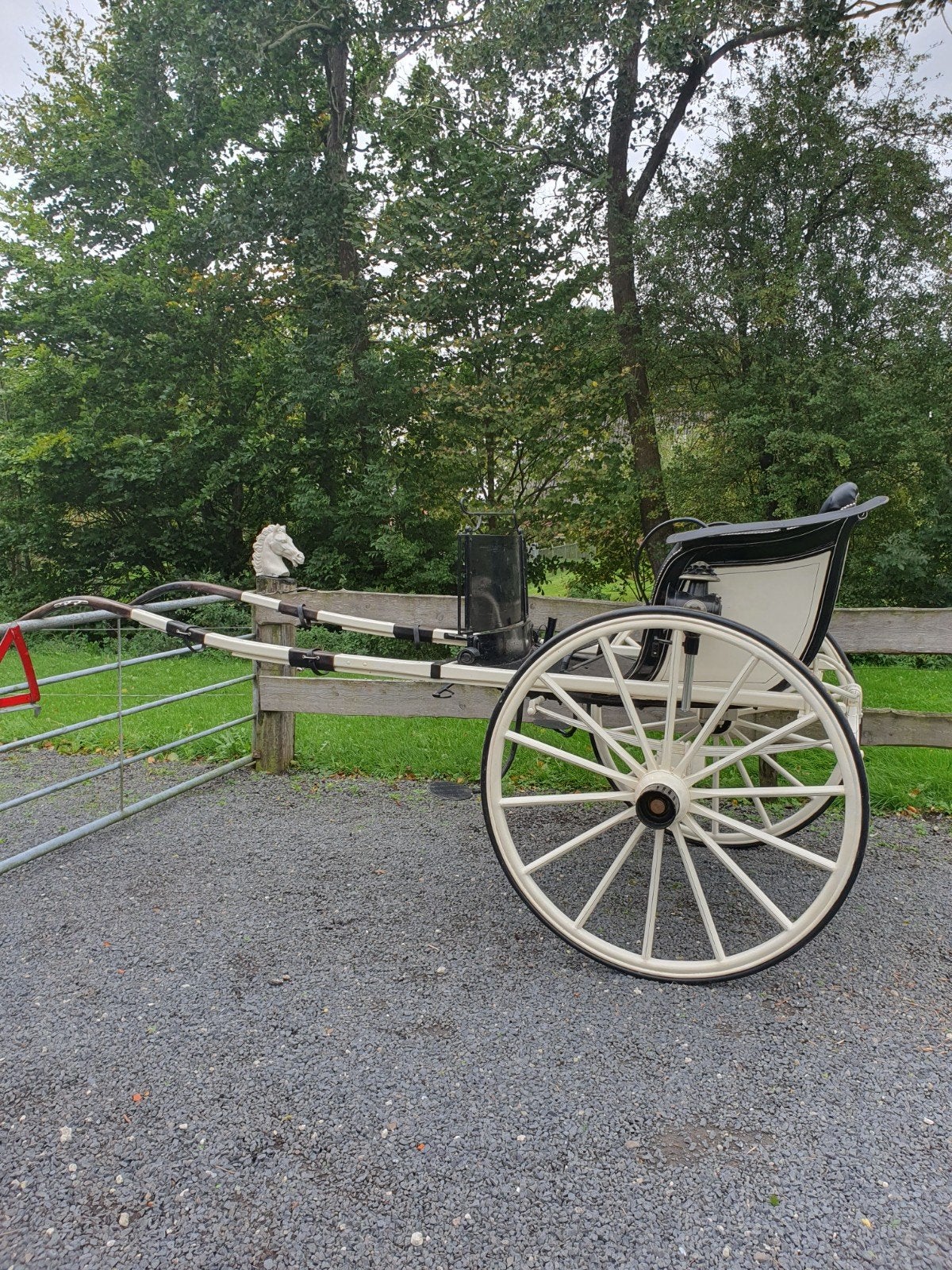 dameskar. Rijtuig.pony kar, 3 tot 6 jaar, Tuigpaard, 165 tot 170 cm, Merrie