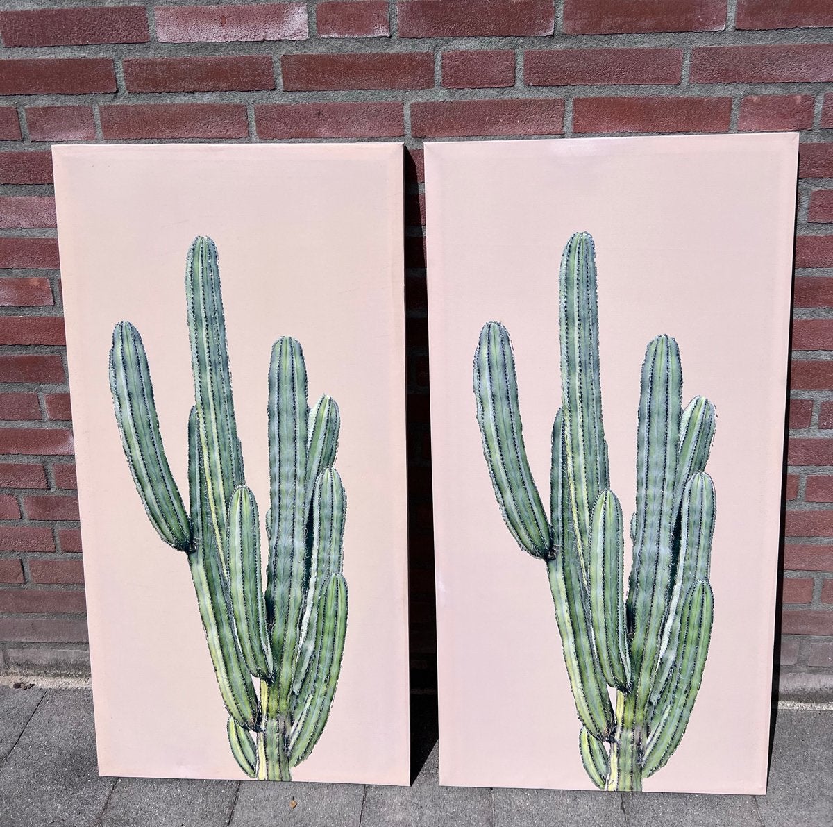 2 cactus schilderijen op canvas, Ophalen, Overig onderwerp, Print, Op houten frame