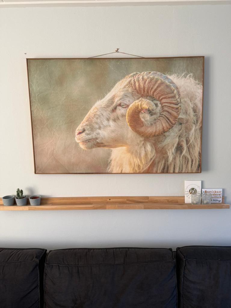 Canvas Swiet Home, Ophalen, Zo goed als nieuw, 100 tot 125 cm, Schilderij