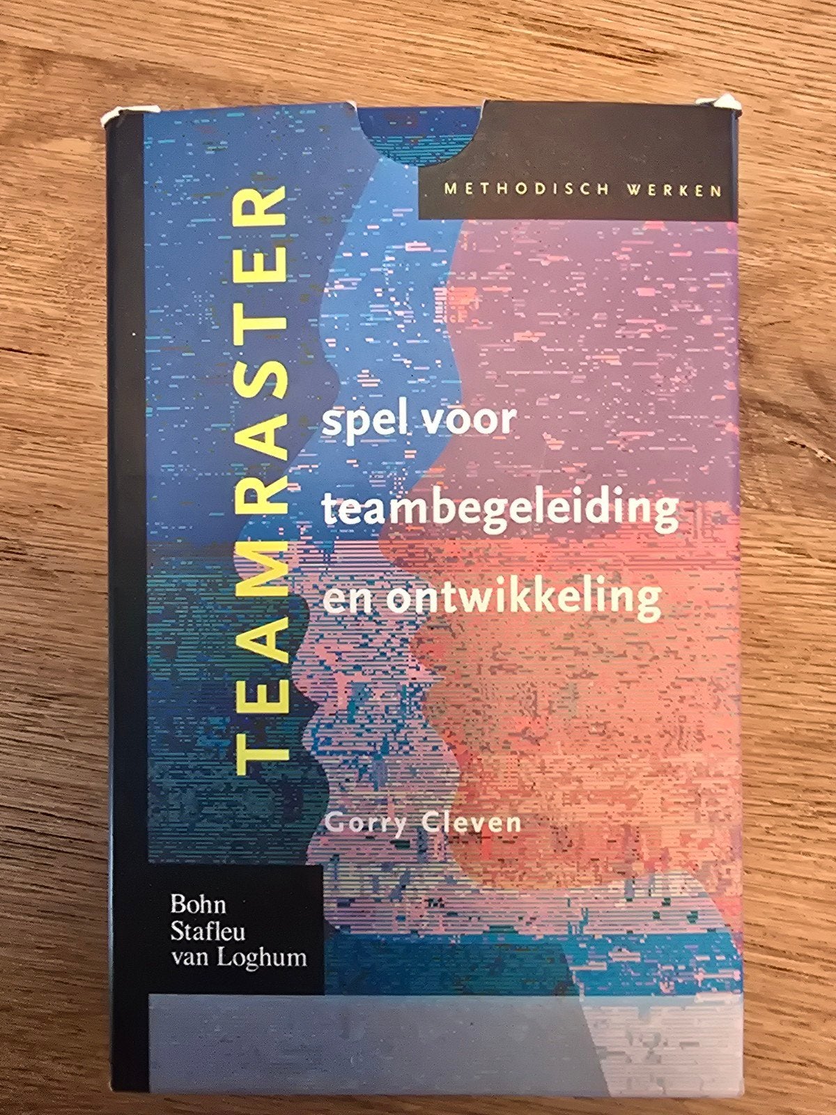 Teamraster: Spel voor Teambegeleiding en Ontwikkeling, Ophalen of Verzenden, Zo goed als nieuw, Gorry Cleven