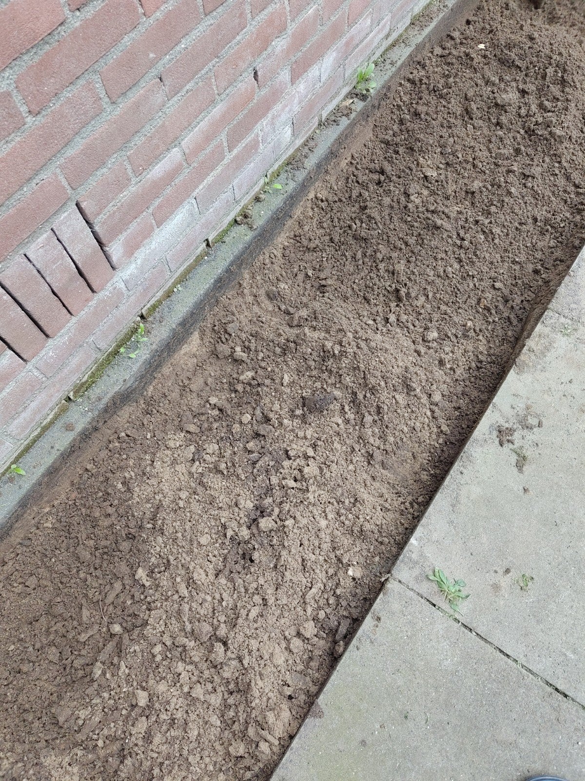 Gratis - Zand/grond in 8 puinzakken (ca. 150-200 liter), Ophalen, Gebruikt, Overige typen