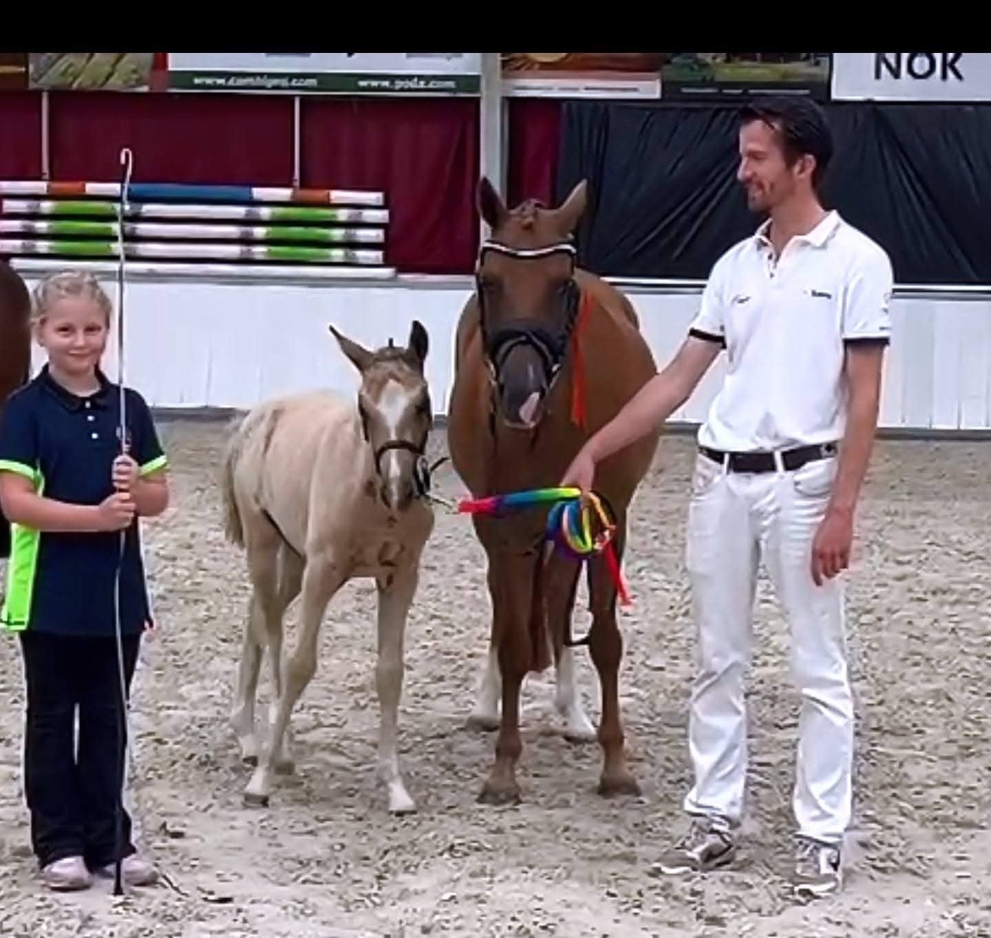 knappe New Forest valk merrie Geboren 3-5-2024, Dieren en Toebehoren, Merrie, 0 tot 2 jaar