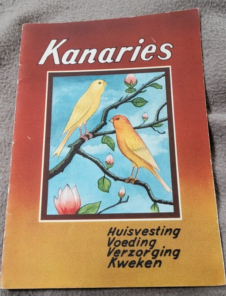 Kanaries P. Sluis - Vintage - collectors item, Ophalen of Verzenden, Zo goed als nieuw