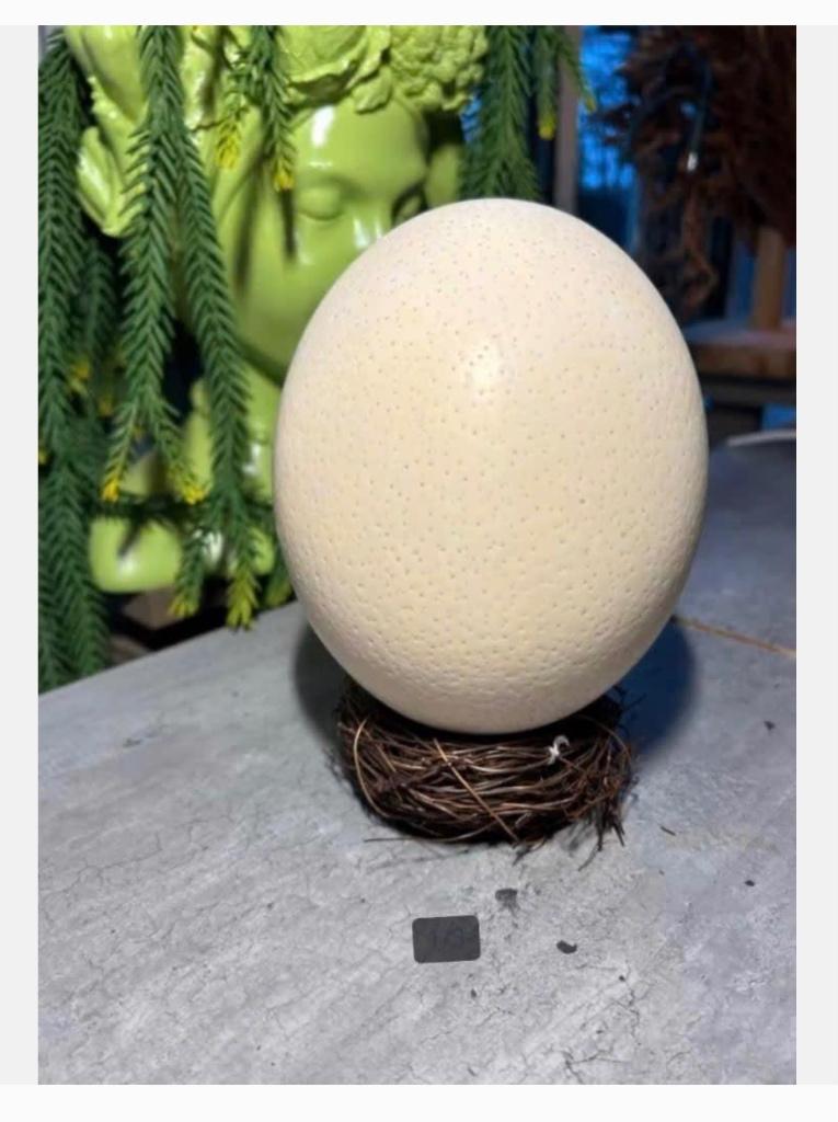 Struisvogel ei 14,5 cm in bruin mandje - decoratief, Verzamelen, Dierenverzamelingen, Ophalen of Verzenden, Nieuw, Overige typen