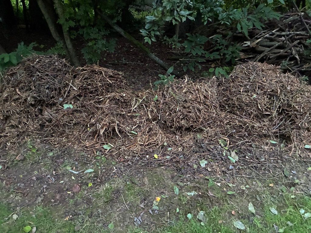 Gratis houtsnippers, Tuin en Terras, Ophalen, Boomschors