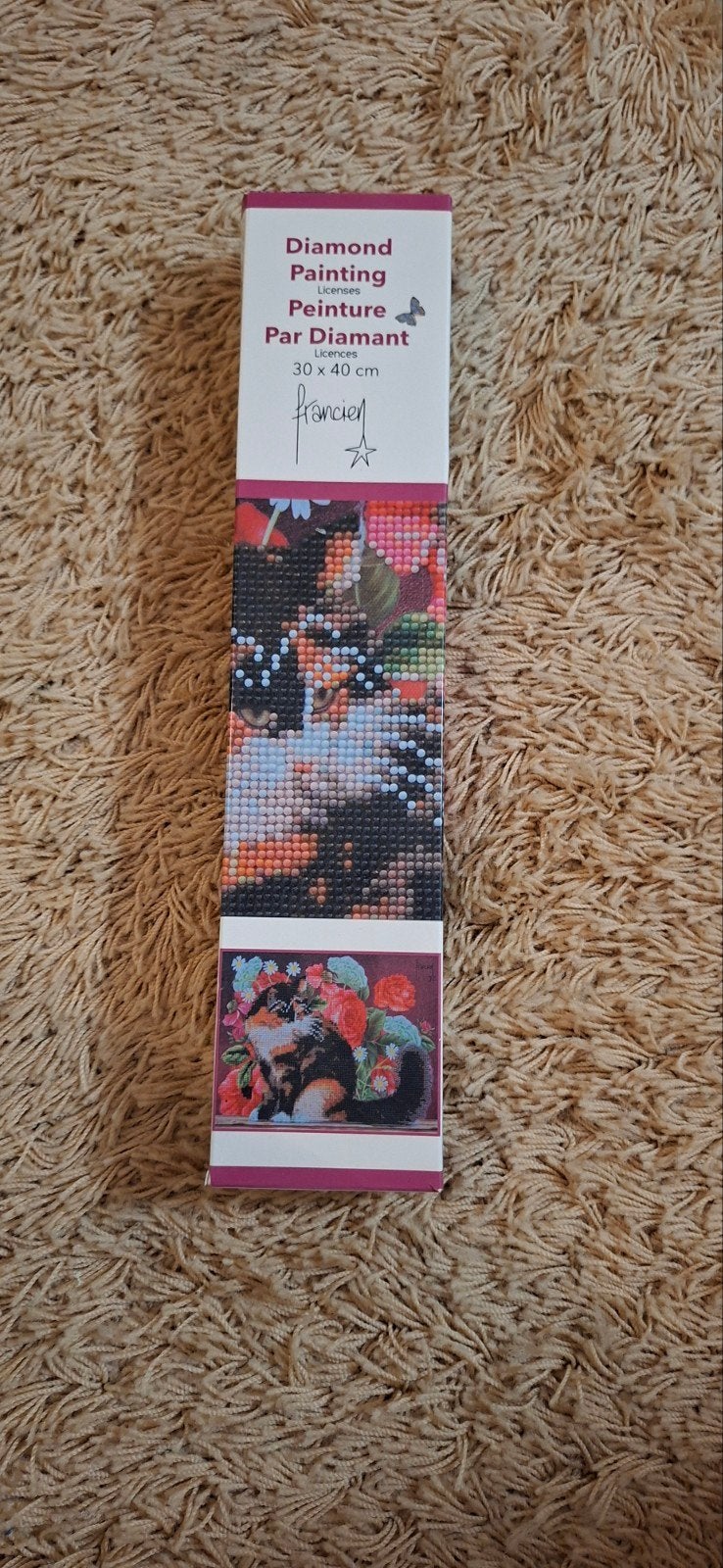 Nieuwe Diamond Painting Kat met Bloemen 30x40 cm, Ophalen of Verzenden, Nieuw, Overige typen