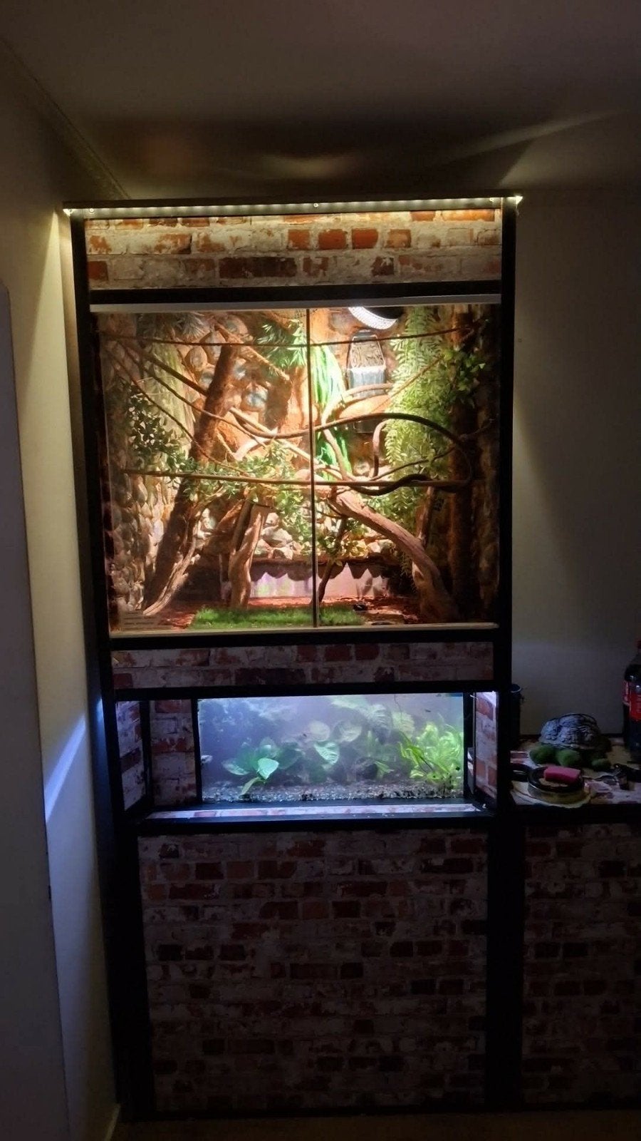 Terrarium +aqarium, Ophalen of Verzenden